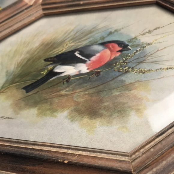 Vintage bird art John M. Karges set of 2 - Picture 3 of 13